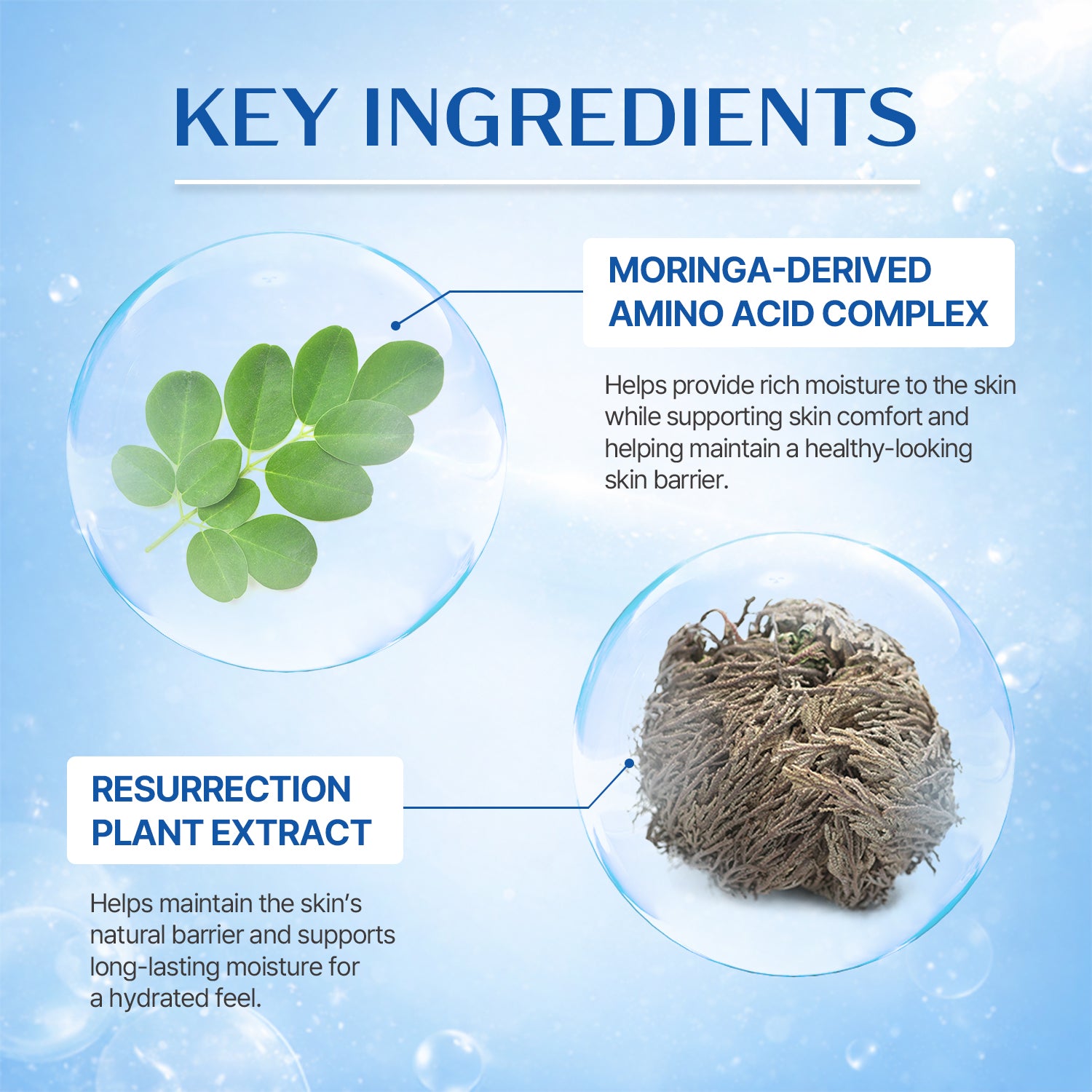 Hydra Ampule Nano Plus+