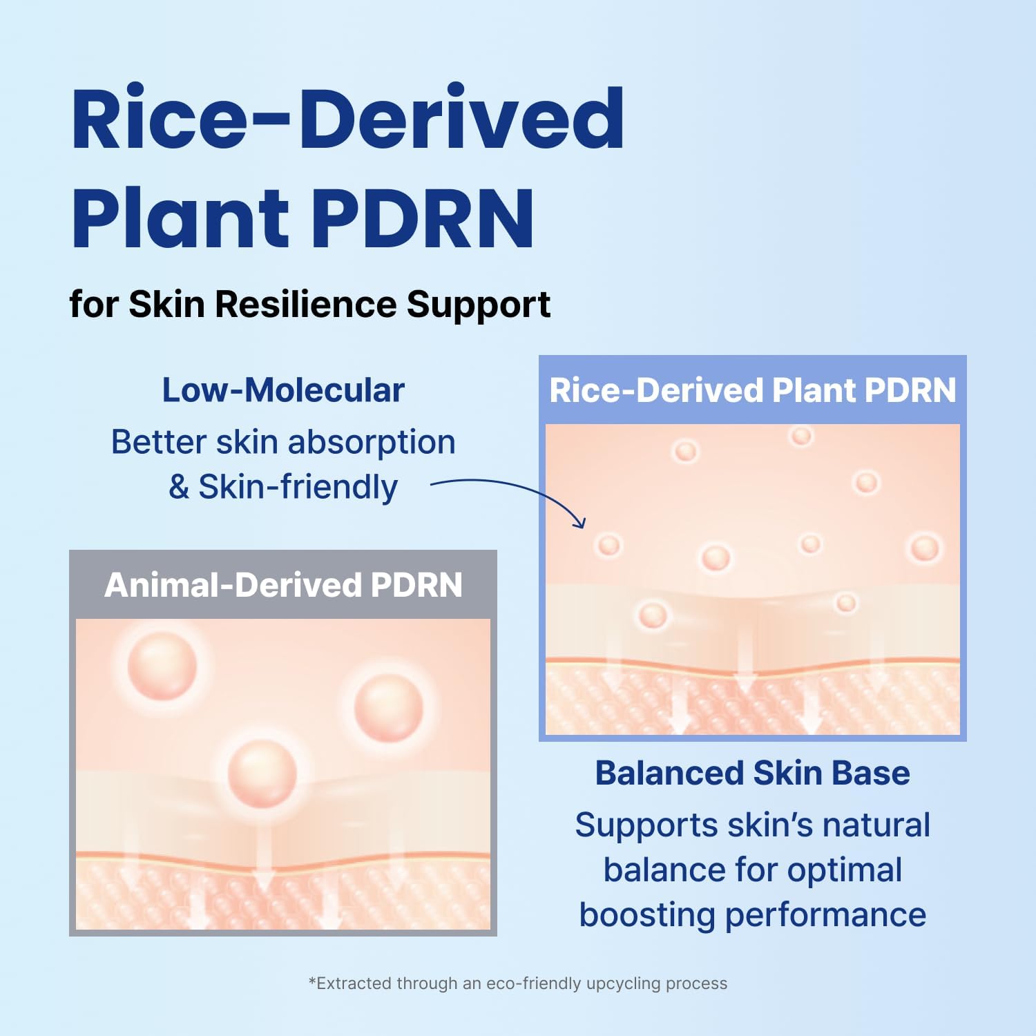 Nuriglow Essential Set - Brightening