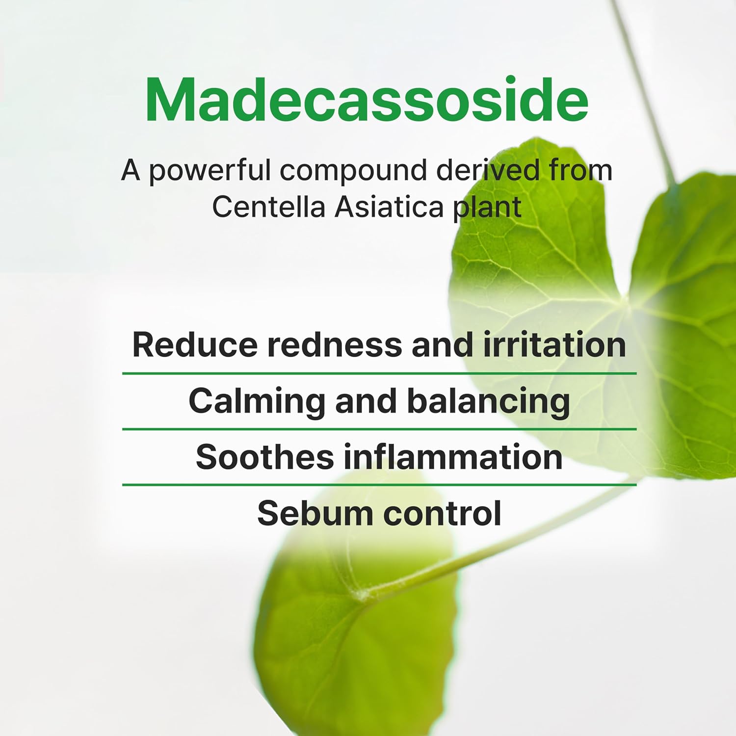Calming Blemish Madecassoside Serum