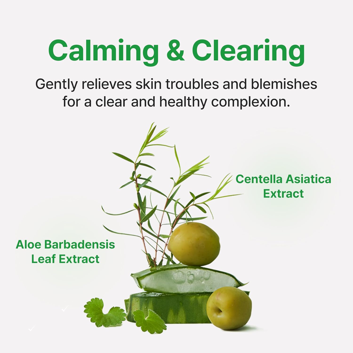 Calming Care AHA/BHA Moisturizer