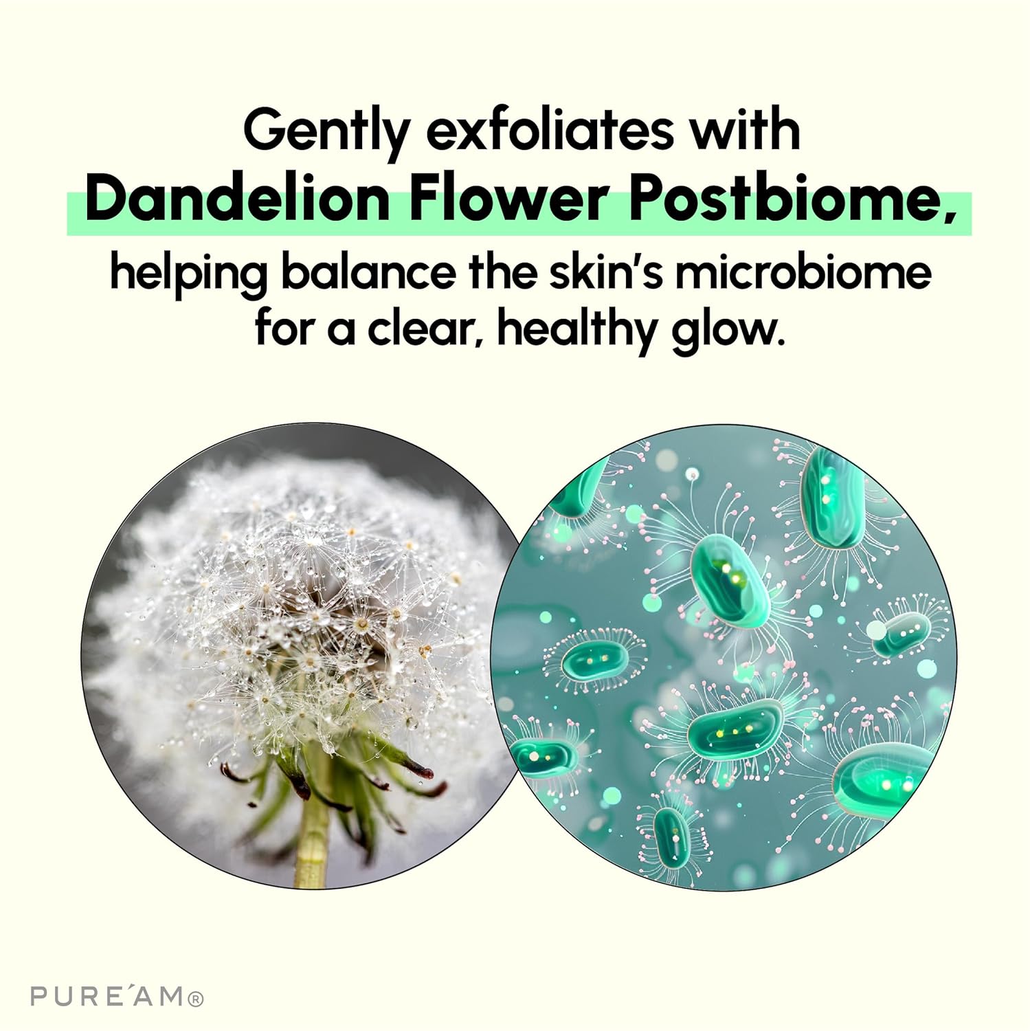 Amino Acid Mild Cleanser