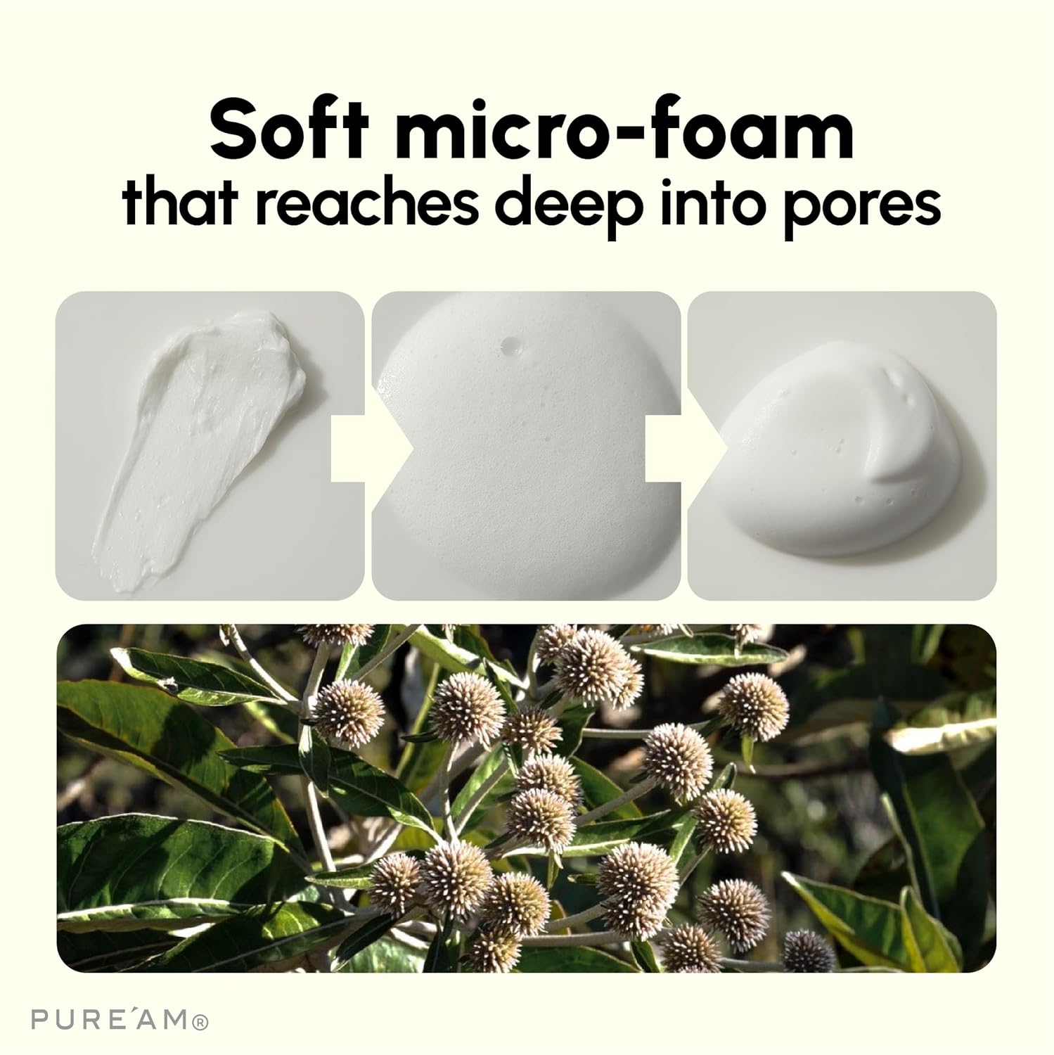 Amino Acid Mild Cleanser