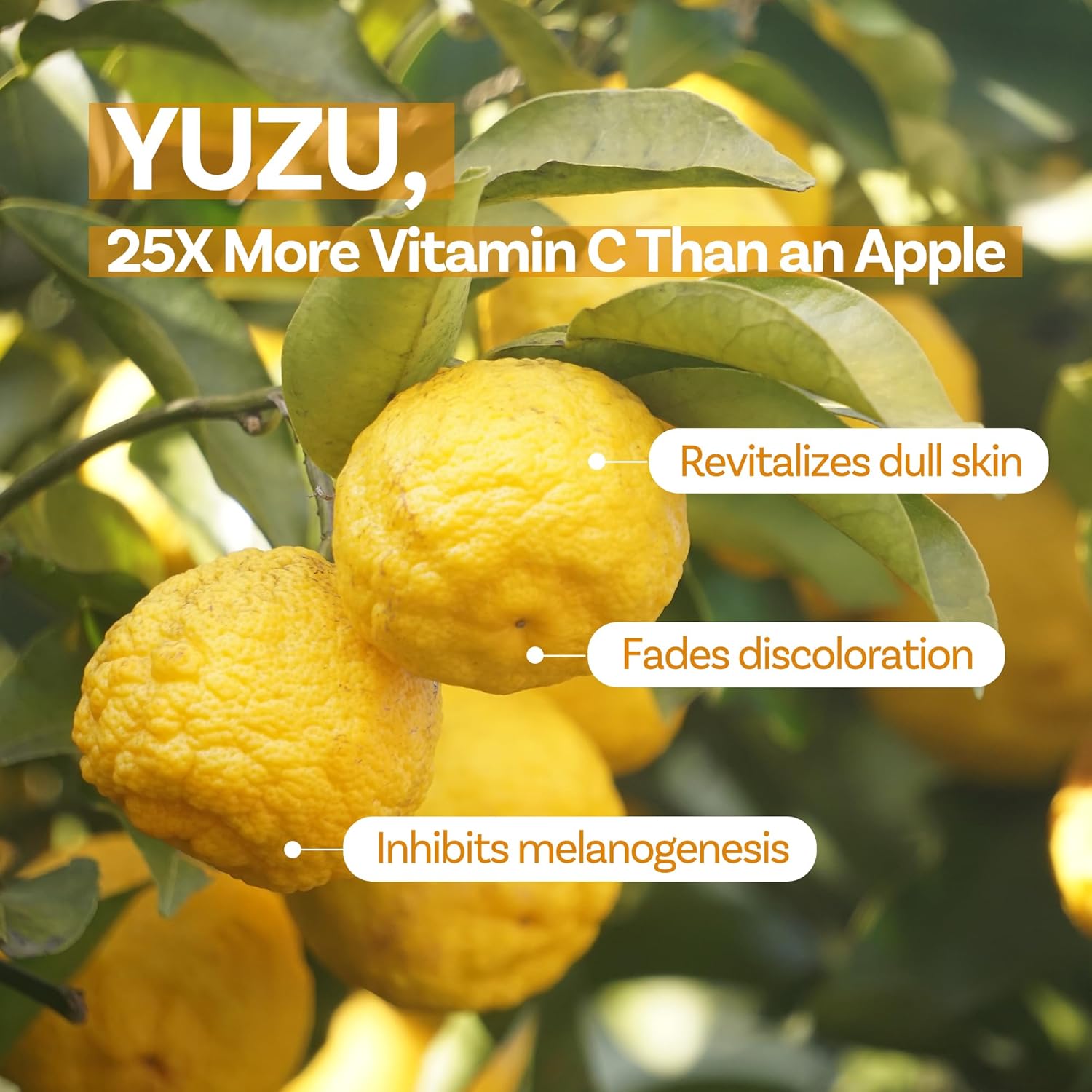 Yuzu Honey Chung Pack Cleanser