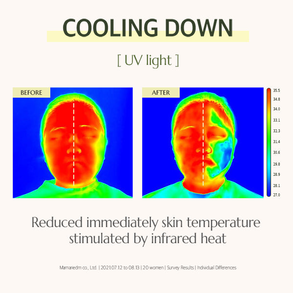 Herb Infused Calming Cream