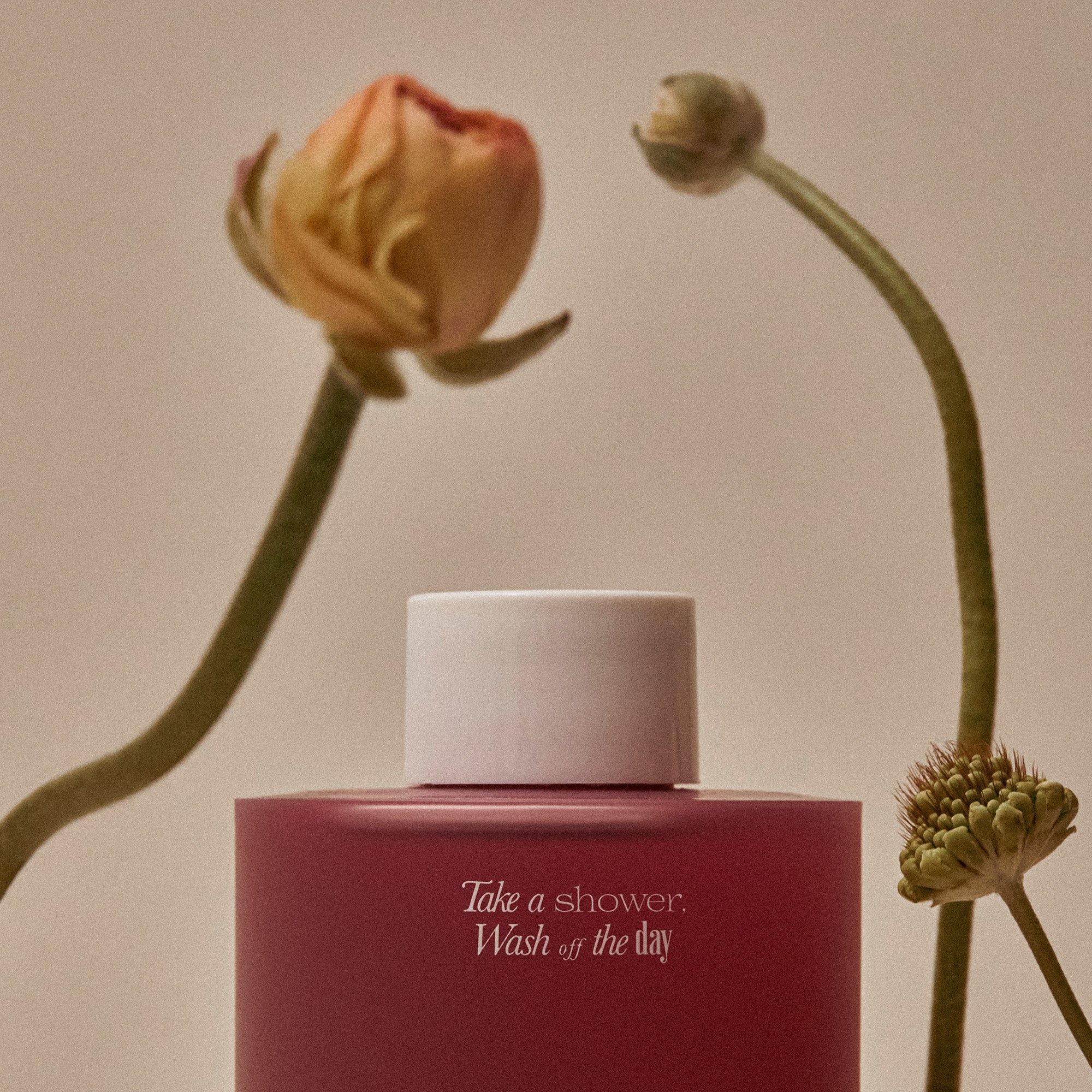 Rosy Night Repair Ampoule Treatment
