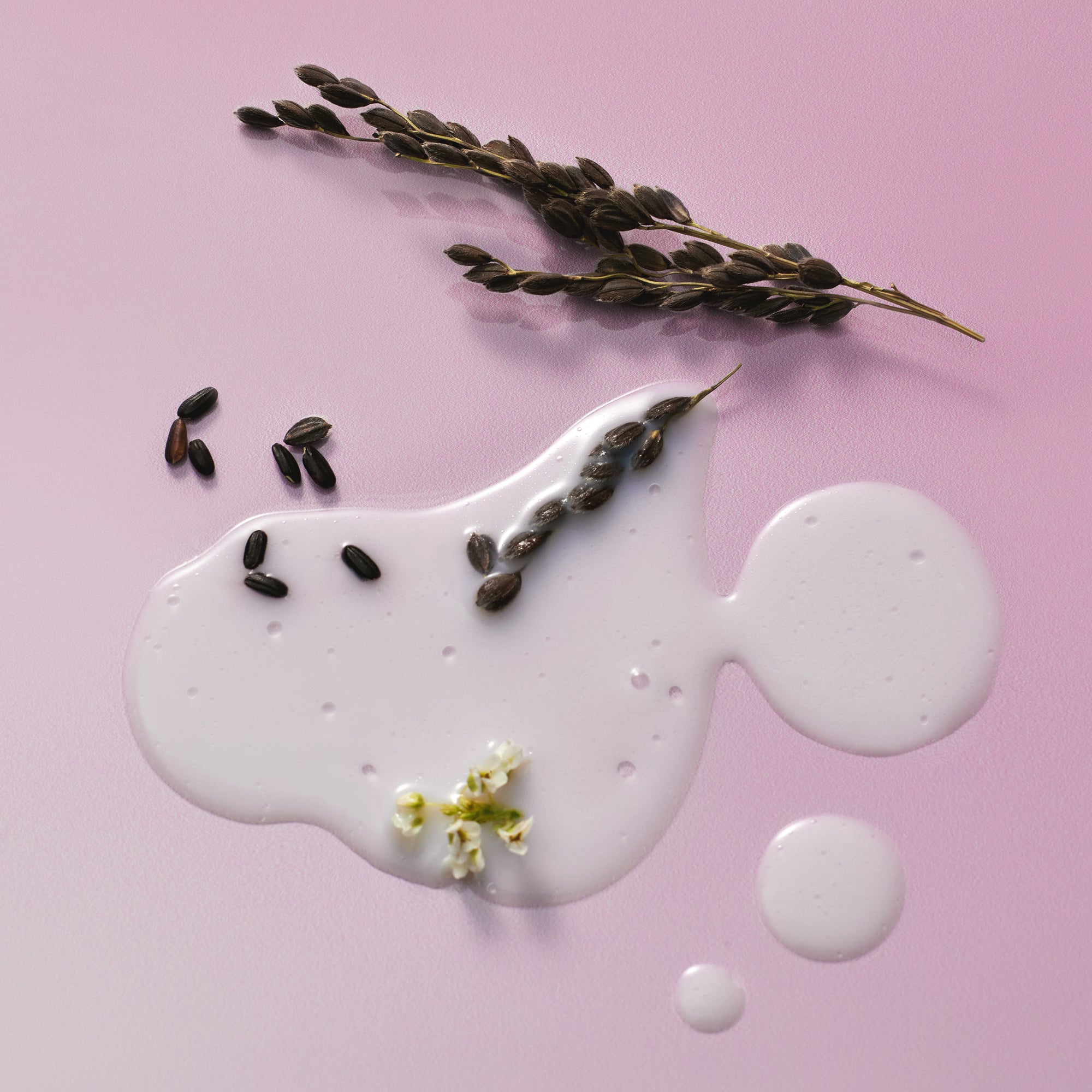 Black Rice Probiotics Barrier NAD+ Serum Mist